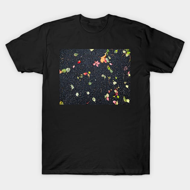 Autumn Leafs on Asphalt T-Shirt by fparisi753